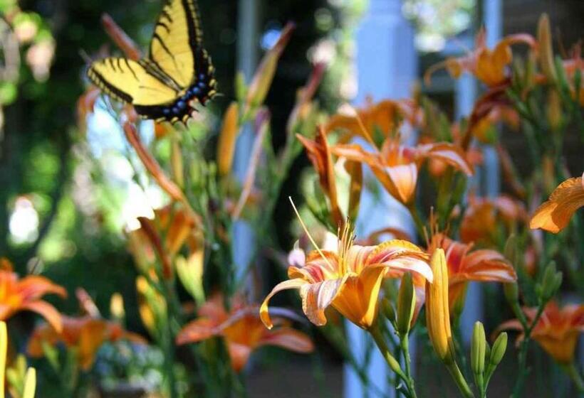 标准房带园景, Sunflower Hill Inn