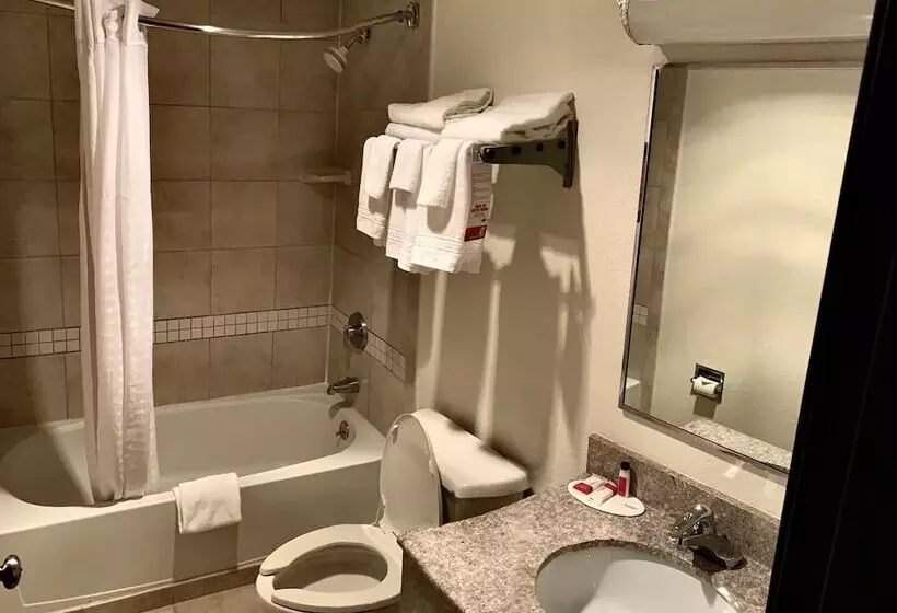 2ダブルベッドのスタンダードルーム, Super 8 By Wyndham Stamford/new York City Area