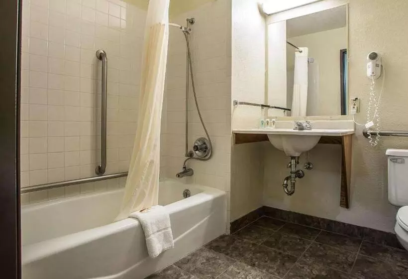 身障者適用キングサイズベッドルーム, Quality Inn & Suites Marinette