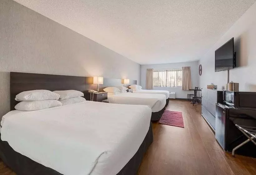 スタンダードルーム, Red Lion Inn & Suites Ontario