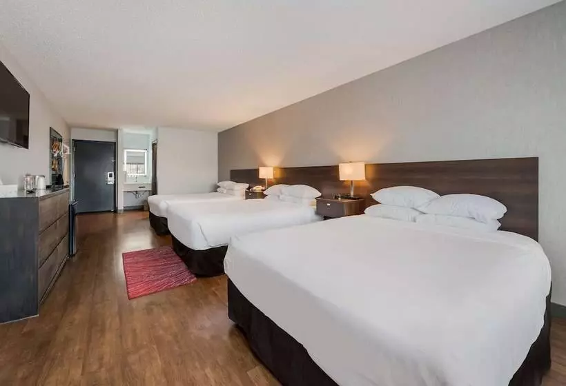 スタンダードルーム, Red Lion Inn & Suites Ontario
