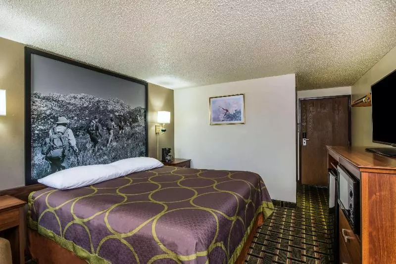 اتاق استاندارد با تخت بزرگ, Super 8 By Wyndham Pueblo