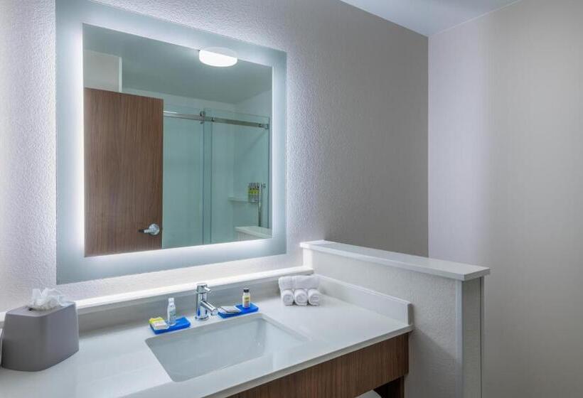 Номер Стандарт Кровать Кинг Адаптированный для Инвалидов, Holiday Inn Express & Suites Colorado Springs South I 25, An Ihg