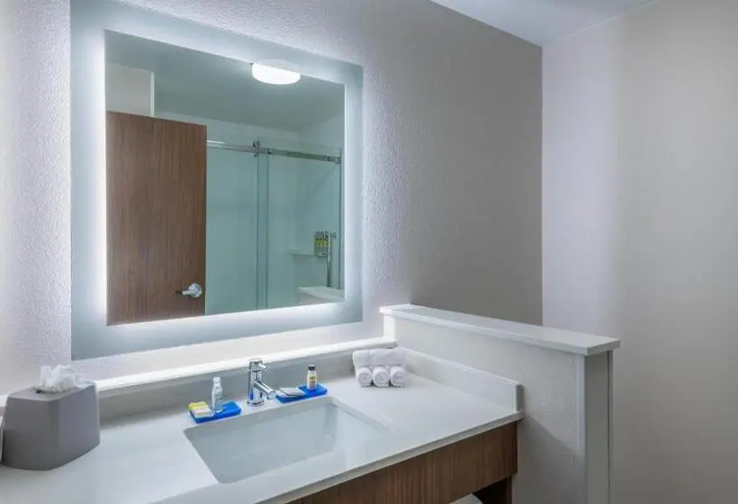 身障者適用キングサイズベッドルーム, Holiday Inn Express & Suites   Colorado Springs South I 25, An Ihg