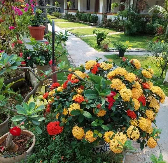 デラックストリプルルーム, Anthy’s Guesthouse And Restaurant