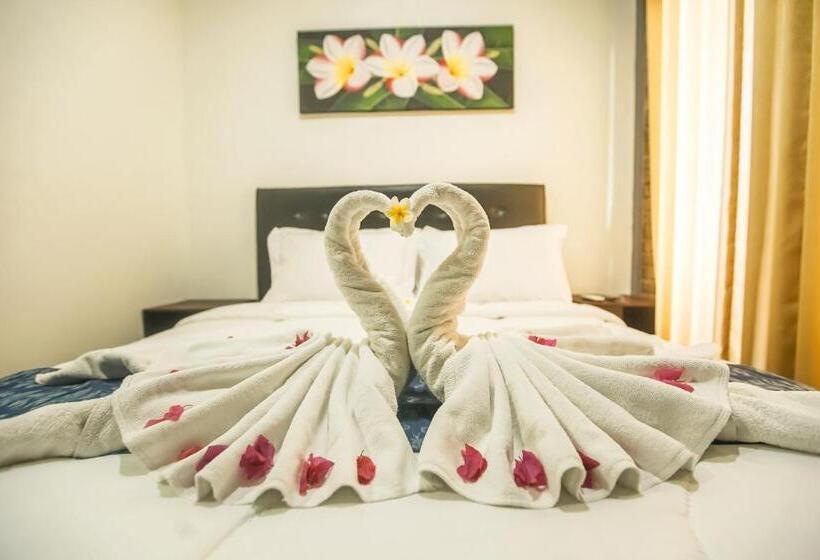 חדר דלוקס, The Backyard House