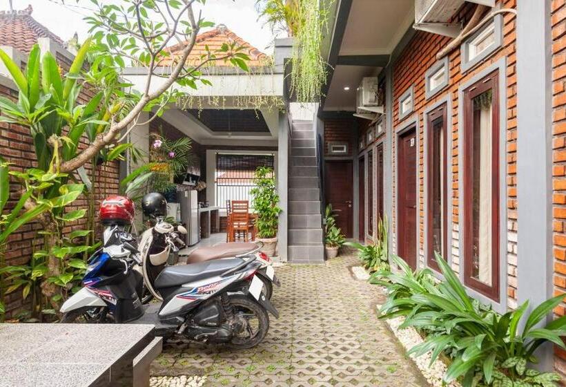 חדר דלוקס, The Backyard House