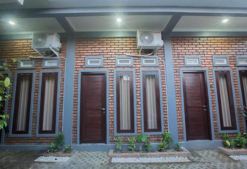 חדר דלוקס, The Backyard House