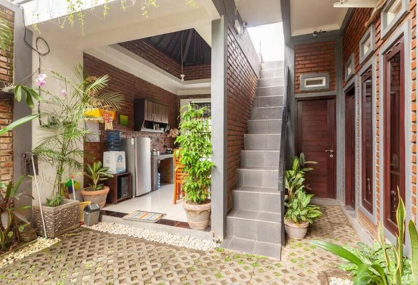 חדר דלוקס, The Backyard House