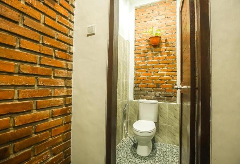 חדר דלוקס, The Backyard House