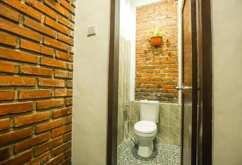 デラックスルーム, The Backyard House