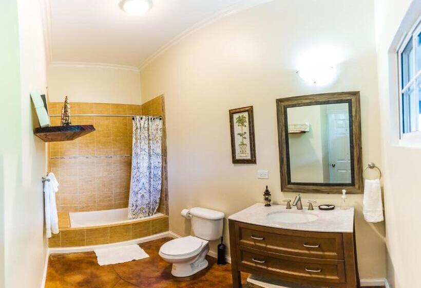 اتاق لوکس, Blue Paloma Bed & Breakfast