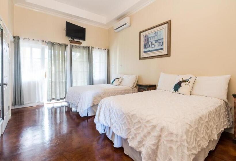 اتاق لوکس, Blue Paloma Bed & Breakfast