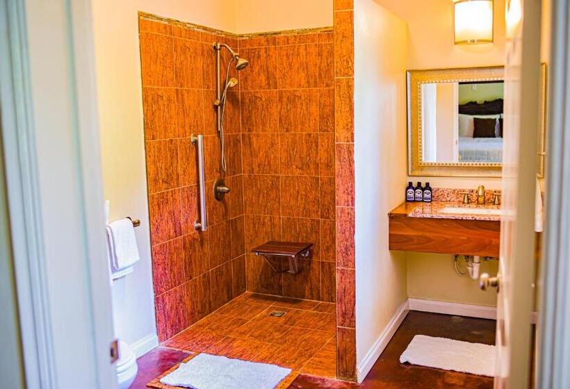 اتاق استاندارد با تخت بزرگ برای معلولان, Blue Paloma Bed & Breakfast