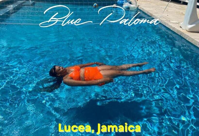 اتاق استاندارد با چشم‌انداز باغ, Blue Paloma Bed & Breakfast