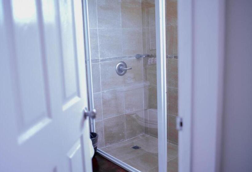 اتاق لوکس, Blue Paloma Bed & Breakfast