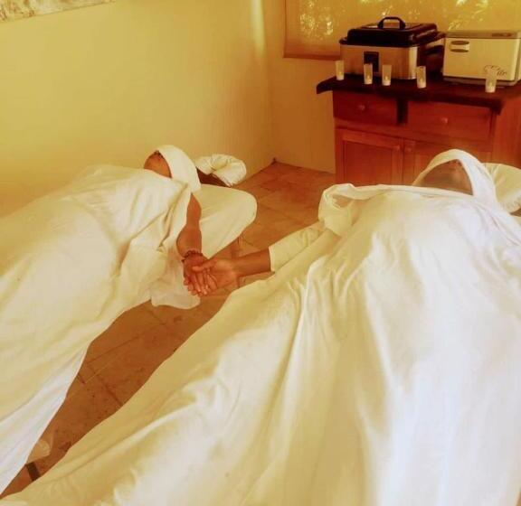 اتاق استاندارد با تخت بزرگ, Blue Paloma Bed & Breakfast