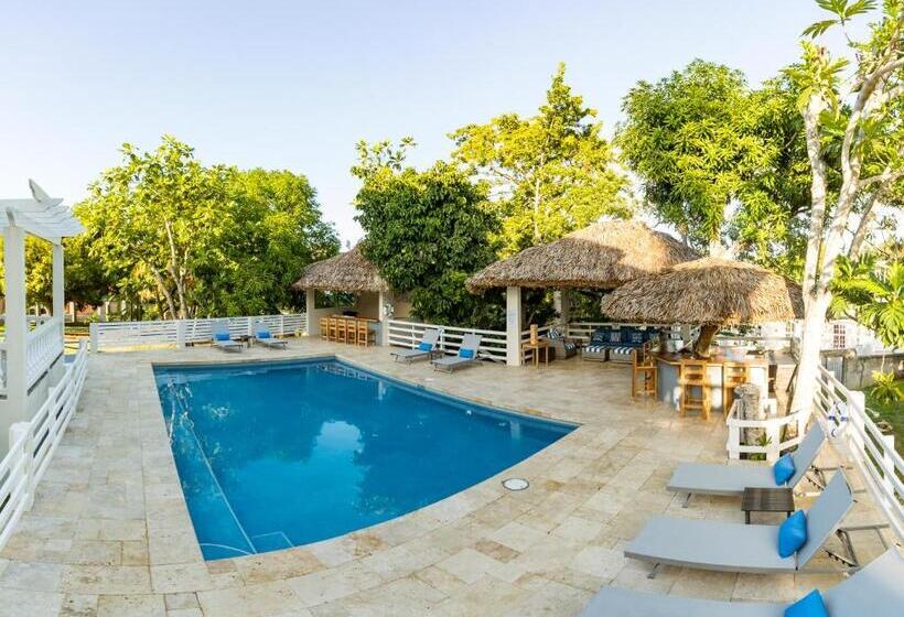 اتاق استاندارد با چشم‌انداز استخر, Blue Paloma Bed & Breakfast