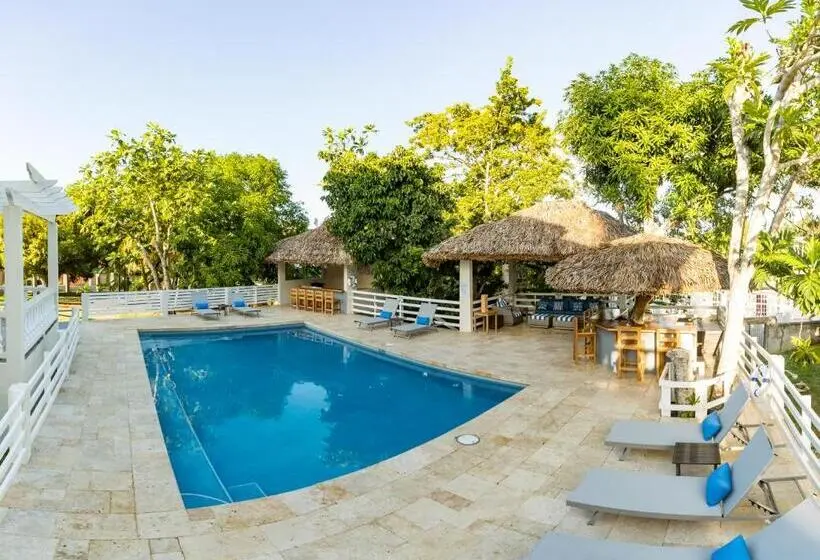 اتاق استاندارد با چشم‌انداز استخر, Blue Paloma Bed & Breakfast