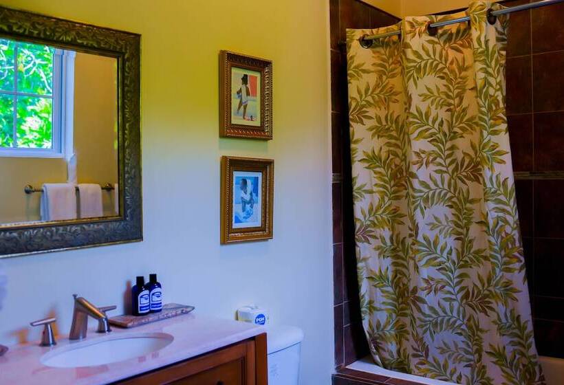 اتاق لوکس با چشم‌انداز باغ, Blue Paloma Bed & Breakfast