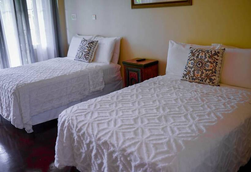 اتاق پریمیوم با چشم‌انداز باغ, Blue Paloma Bed & Breakfast