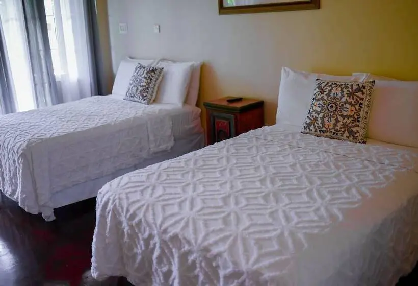 اتاق پریمیوم با چشم‌انداز باغ, Blue Paloma Bed & Breakfast