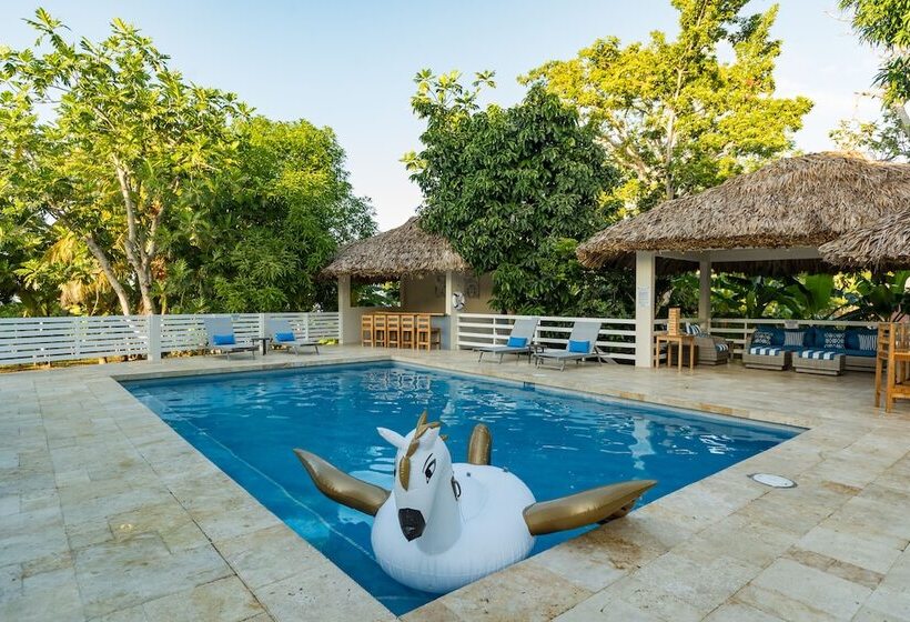 اتاق لوکس با چشم‌انداز باغ, Blue Paloma Bed & Breakfast