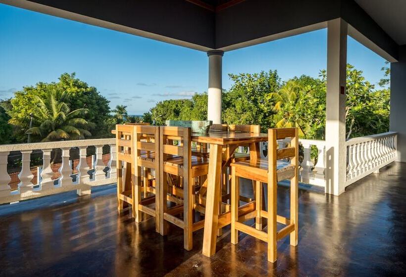 اتاق پریمیوم با چشم‌انداز باغ, Blue Paloma Bed & Breakfast