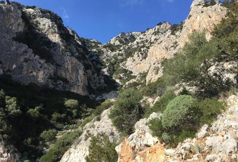 דירת חדר בקומת קרקע, Cav Mameli