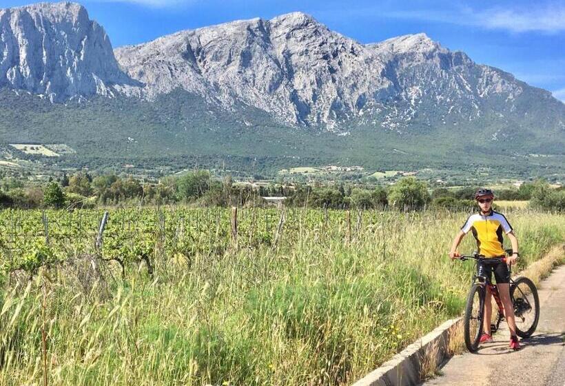 דירת חדר בקומת קרקע, Cav Mameli