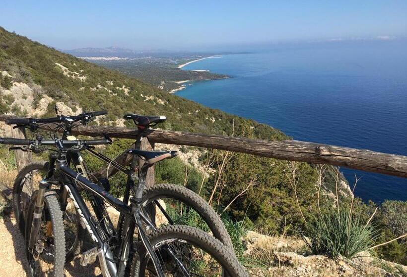 דירת חדר, Cav Mameli