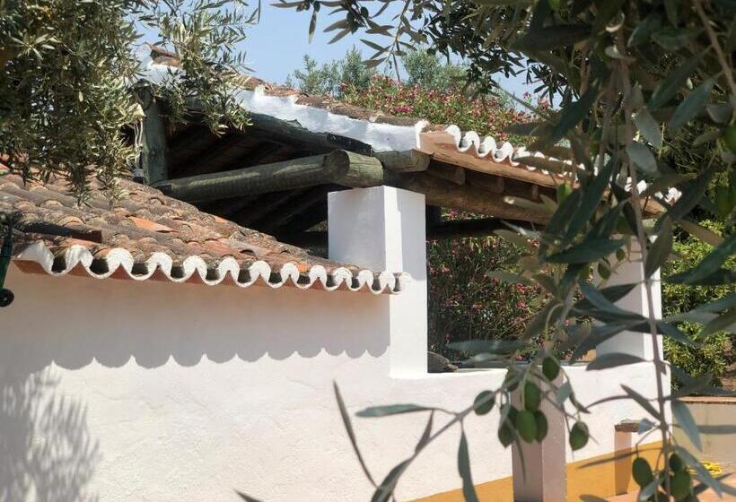 プール付き１ベッドルームヴィラ, Monte Papa Toucinho