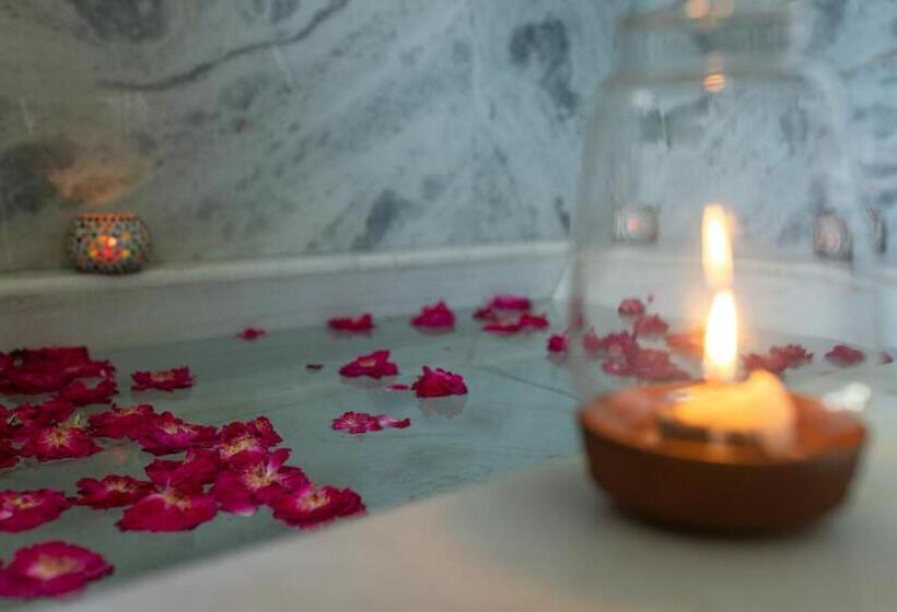 Президентский Люкс, Ranakpur Safari Resort