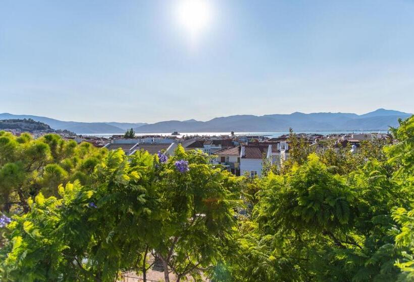 スイート, Avra Nafpliou