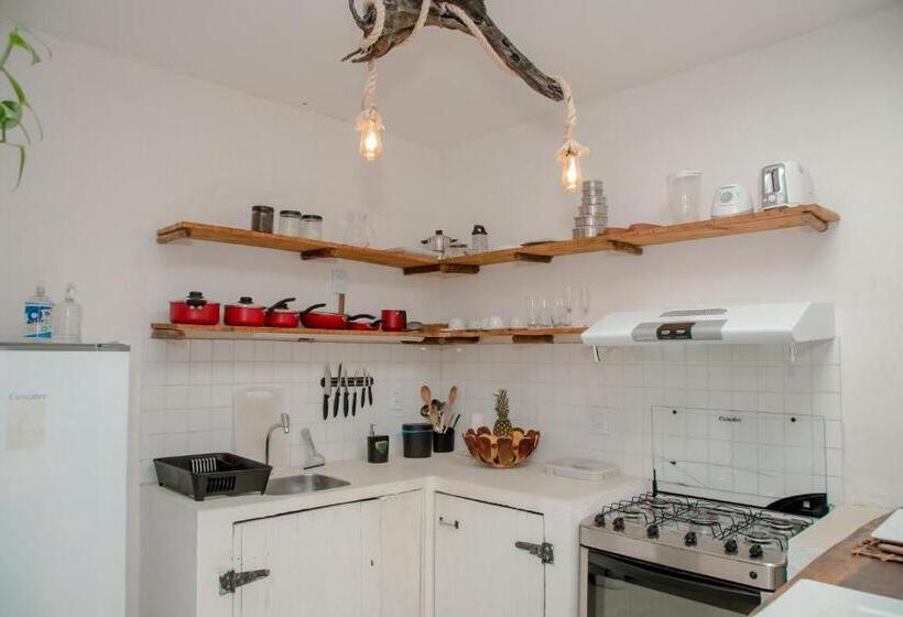 1 Schlafzimmer Apartment Untergeschoss, Cabare Du Vento