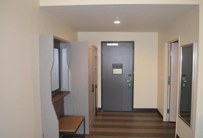 适合残疾人士使用的套间, Holiday Inn   Nw Houston Beltway 8, An Ihg