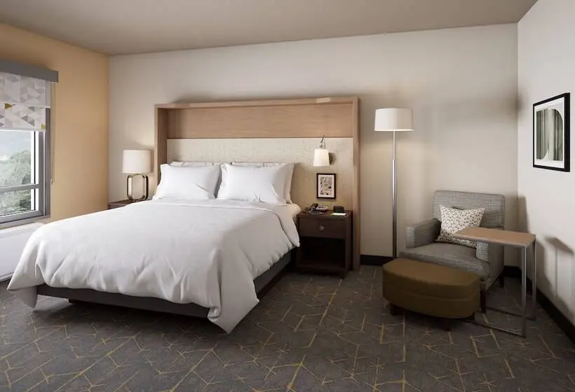 身障者適用スイートルーム, Holiday Inn   Nw Houston Beltway 8, An Ihg