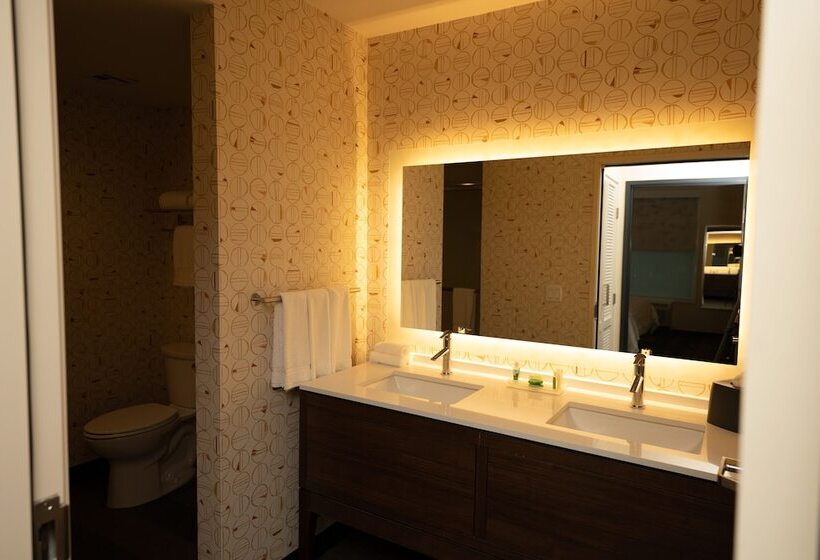 Люкс Адаптированный для Инвалидов, Holiday Inn Nw Houston Beltway 8, An Ihg