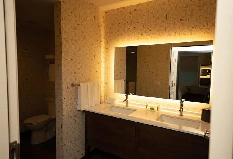 身障者適用スイートルーム, Holiday Inn   Nw Houston Beltway 8, An Ihg