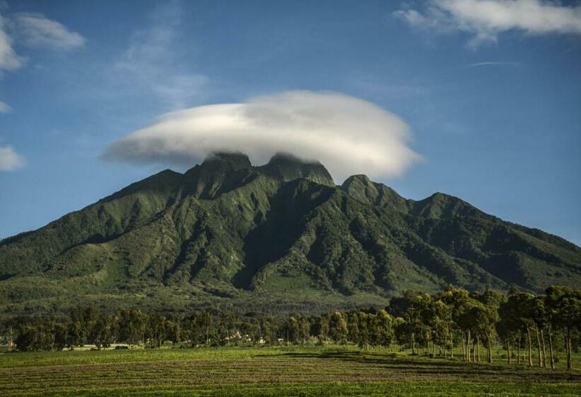 اتاق استاندارد, One&only Gorilla's Nest