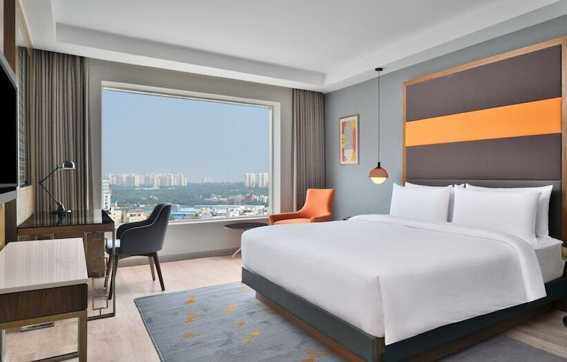 俱乐部房间, Le Meridien Hyderabad