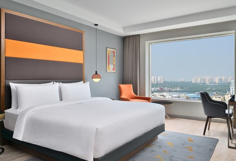 俱乐部房间, Le Meridien Hyderabad