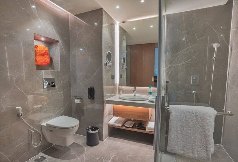 俱乐部房间, Le Meridien Hyderabad