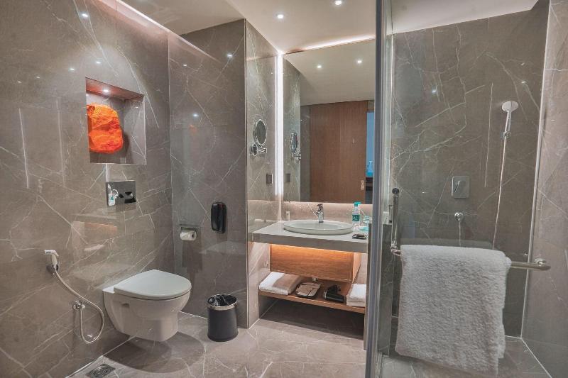 带大床的俱乐部房间, Le Meridien Hyderabad