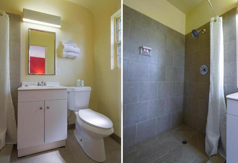 キングサイズベッドのスタンダードルーム, OYO Hotel North Lima OH - Boardman