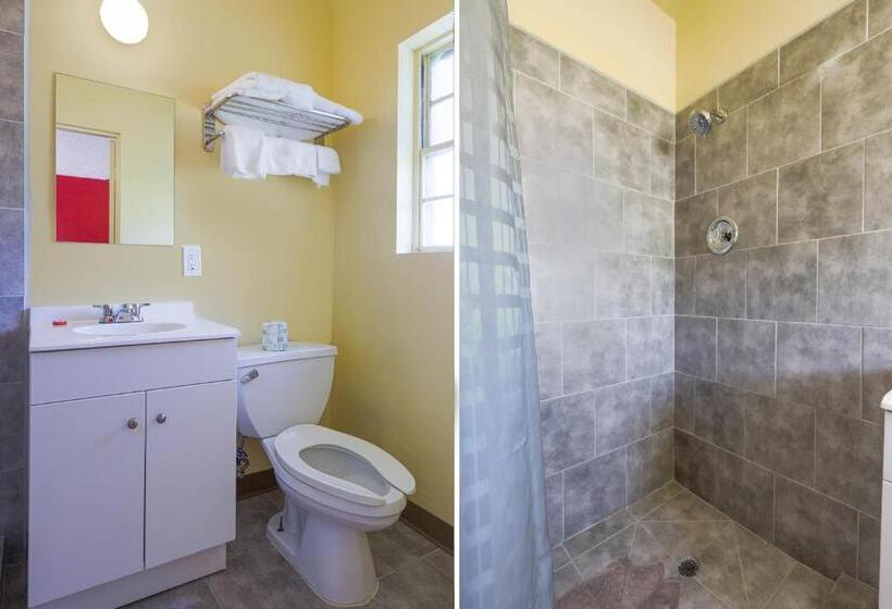 スタンダードルーム, OYO Hotel North Lima OH - Boardman