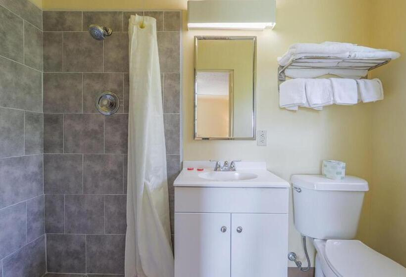 スイート, OYO Hotel North Lima OH - Boardman