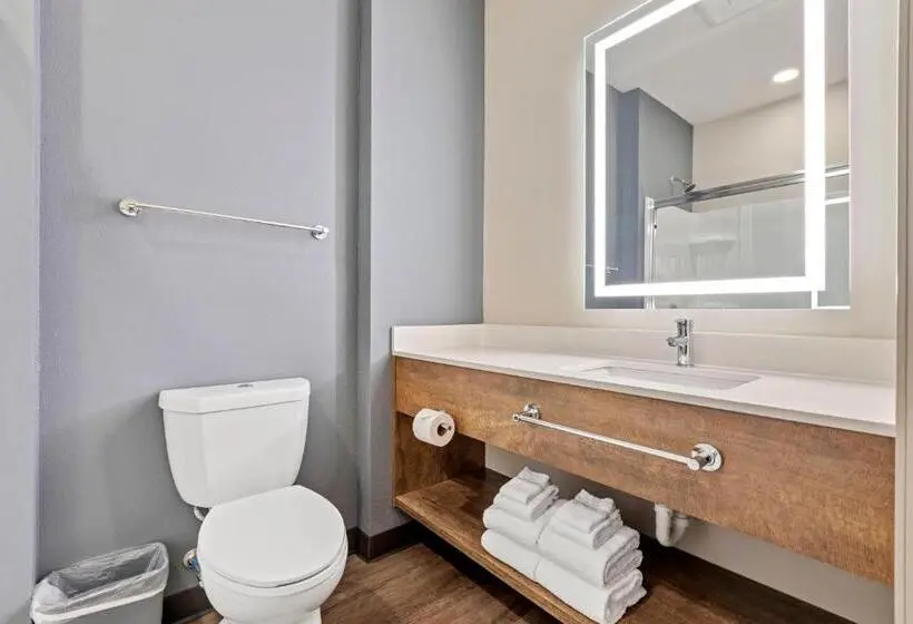 Standard-studio, Extended Stay America Premier Suites  Tampa  Gibsonton  Riverview