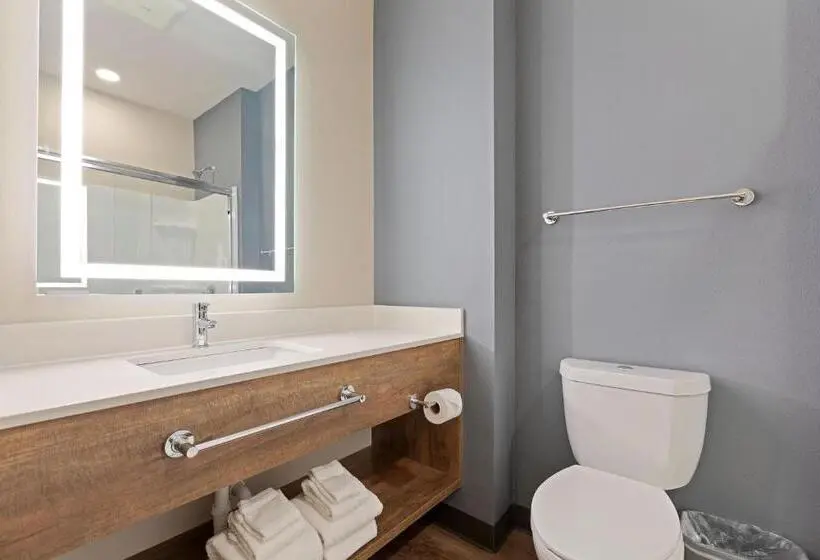 Standard-studio King-vuode, Extended Stay America Premier Suites  Tampa  Gibsonton  Riverview