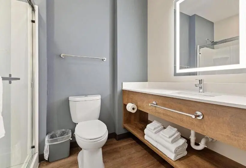 Deluxe-studio, Extended Stay America Premier Suites  Tampa  Gibsonton  Riverview